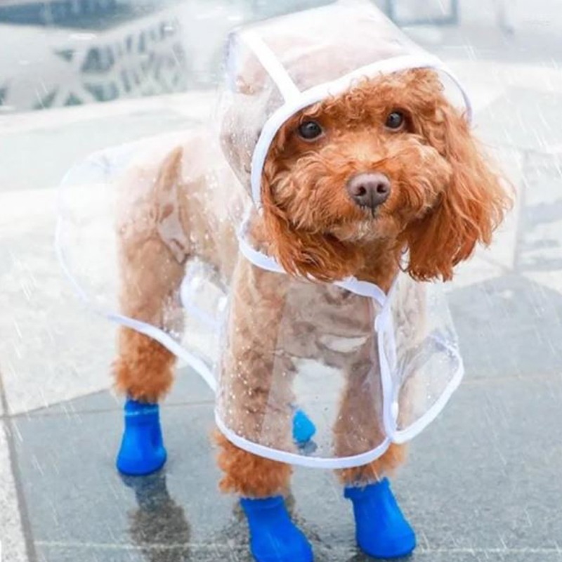 Combo especial para la lluvia, carpa impermeable  botas semiimpermeables 3