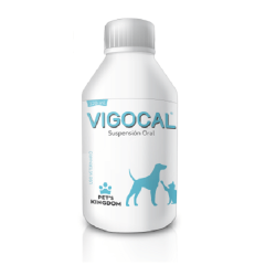 Vigocal Frasco x 120 ml...