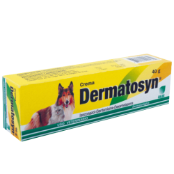 DERMATOSYN CREMA (40 GR)