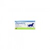 Previcox Dog L 227 mg caja por 10 tabletas