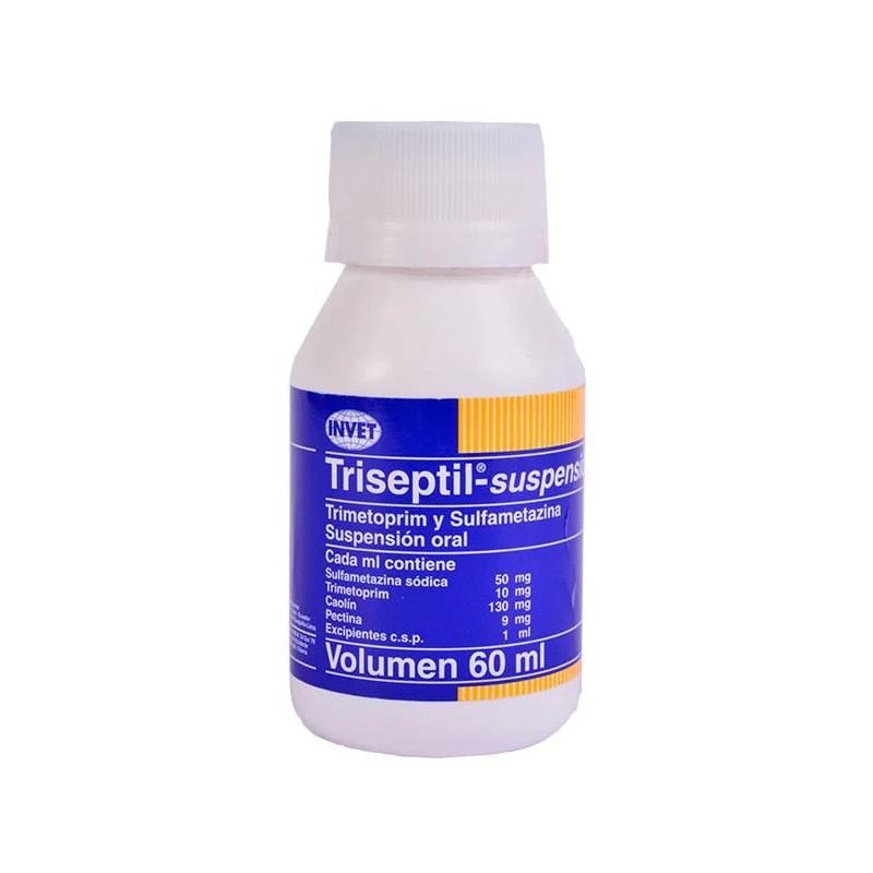 TRISEPTIL SUSPENSION 60ML