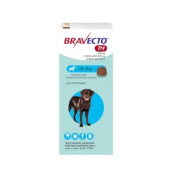 Bravecto 1M Antiparasitario...