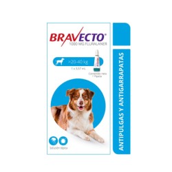 Bravecto️ Antiparasitario...