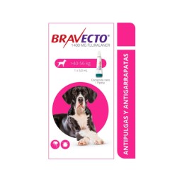 Bravecto️ Antiparasitario...