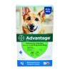 Advantage Antipulgas para perros (de 25 Kg y más) Pipeta por 4 ml