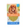 Advocate Antiparasitario para perros (de 4 a 10 Kg)