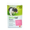 Desparasitante Drontal para cachorros 20ml